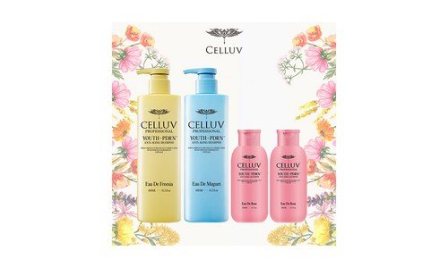 셀럽샴푸 망설일수록 나만 손해인 이번주 추천상품 비교분석 베스트