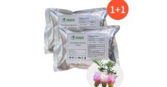 다이글로메라 완판전 미리 주문 필수! 비교 베스트9