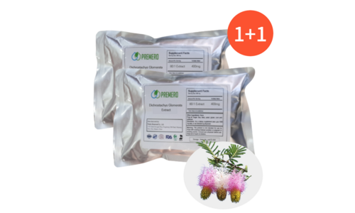 다이글로메라 완판전 미리 주문 필수! 비교 베스트9