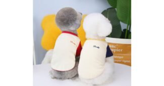 강아지옷 진짜배기! 최강 스마트한 선택