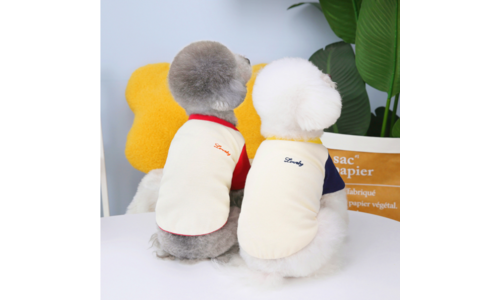 강아지옷 진짜배기! 최강 스마트한 선택