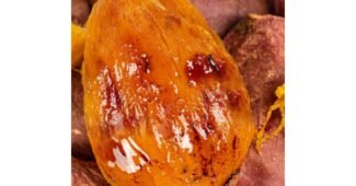 고구마 성능 비교 적극추천