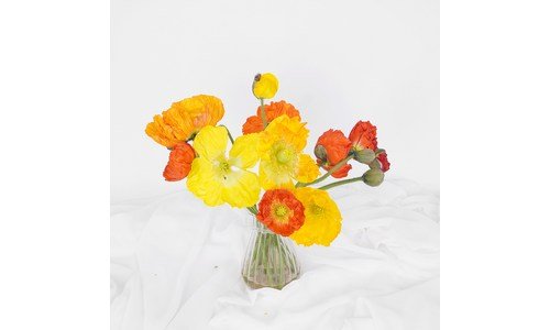 생화택배 추천 신뢰가 쌓이는 적극추천