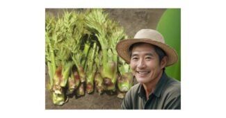 두릅 홈쇼핑MD가 추천하는 필수품 적극추천