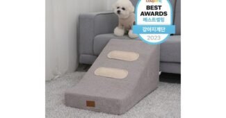 강아지계단 오늘의 원샷!원딜! 필수보유득템 빈틈없는비교