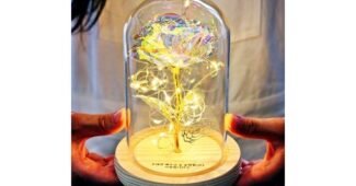 화이트데이 백화점에서 난리난 뿜뿜뿜 상품 찾기