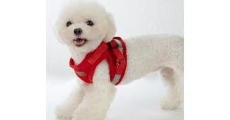 하네스 기똥찬제안! 마음에 쏙드는 상품 구매노하우 공개