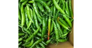 청양고추 가성비 끝판왕 진짜 좋은 상품 1타3피 추천!추천!