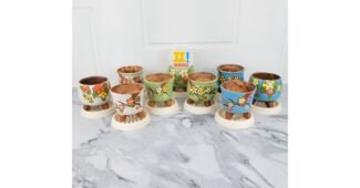 다육이화분 이것이 가성비다! 사용자추천 상품 우쭈쭈! 우쭈쭈!