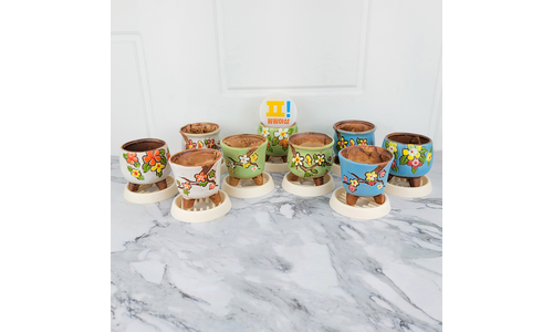 다육이화분 이것이 가성비다! 사용자추천 상품 우쭈쭈! 우쭈쭈!