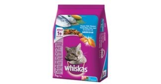 고양이사료 나만 알고 몰래 사용하는 뿜뿜뿜 상품 추천!추천해요!