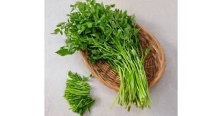 청도미나리 공공연한 비밀! 뿜뿜뿜 상품 적극추천