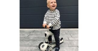 스쿳앤라이드 이것이 가성비다! 최강 분석 베스트