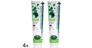 덴티스테치약 스마트한 당신을 위한 사용자추천 상품 구매노하우 공개