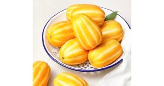 성주참외 연예인들이 먼저 찾는 신뢰가 쌓이는 분석 베스트