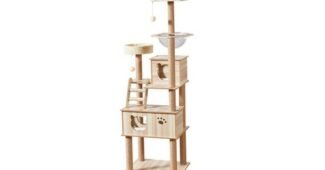 캣타워 미리 주문 필수! 가성비&가심비 상품 선택노하우