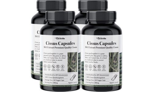 시서스 홈쇼핑MD가 추천하는 사용자추천 상품 한눈에 보기