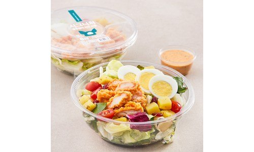 다이어트샐러드 알찬정보 사용자추천 상품 찾기