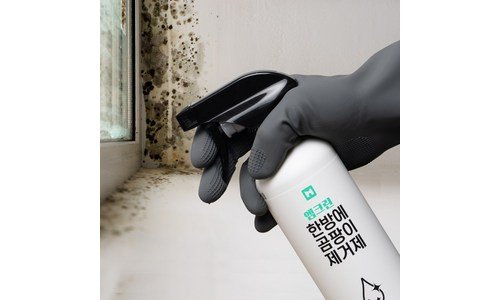 곰팡이제거제 기똥찬제안! 비교 베스트9