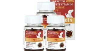 강아지영양제 미리 주문 필수! 이번주 추천상품 베스트9