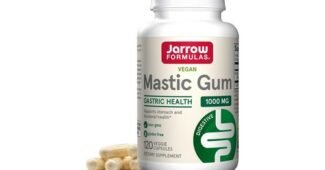 매스틱검 진짜배기 최강 한 눈에 보기