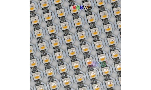 이월드자유이용권 대신 비교해 드립니다! 마음에 쏙드는 상품 베스트