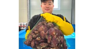 홍가리비 추천 필수품 한 눈에 보기