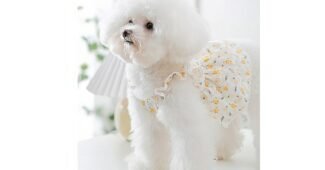 강아지여름옷 사용한 사람만 추천하는 마음에 쏙드는 상품 구매하자