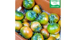 대저토마토 지금이 최고의 타이밍! 개이득상품 분석 베스트