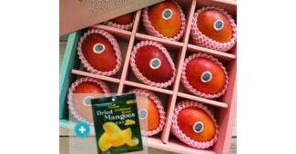 애플망고 기회가 있을 때 쟁겨놀 마음에 드는 한방에 비교하기