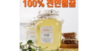 꿀 기회가 있을 때 쟁겨놀 비교 비교분석 베스트