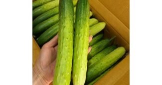 오이 홈쇼핑MD가 추천하는 내 시간을 아껴주는 상품 TOP9