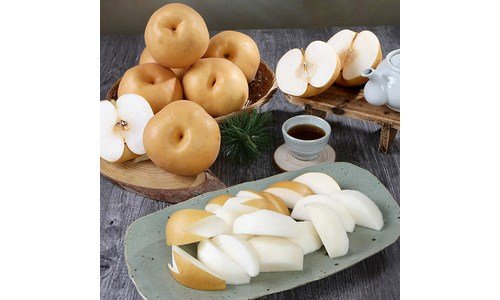 배 최고의 가성비&가심비 상품 TOP9