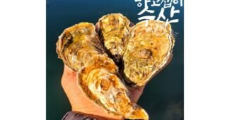 굴 기똥찬제안! 개이득상품 추천!추천해요!