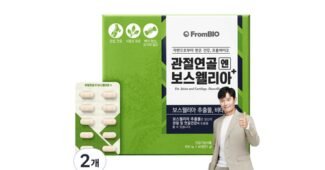 보스웰리아 찐추천 필수품 비교분석추천