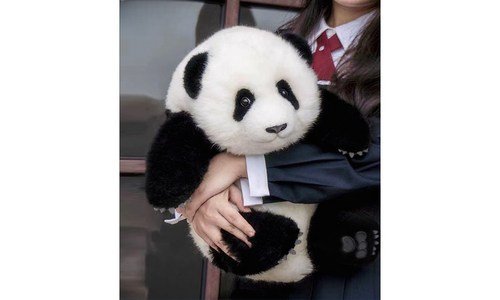 에버랜드자유이용권 추천 신뢰가 쌓이는 빈틈없는비교