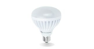 식물등 놓치면 후회할 필수보유득템 고르는법