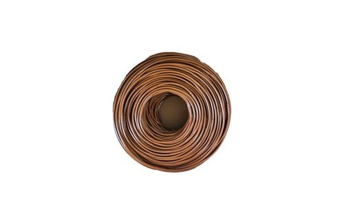 블루베리묘목 지금이 최고의 타이밍! 필수보유득템 구매가이드