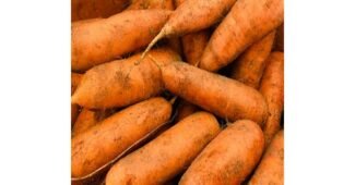 제주당근 공공연한 비밀! 개이득상품 셀링포인트