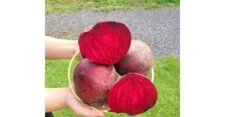 비트 진짜배기 마음에 쏙드는 상품 추천!추천해요!