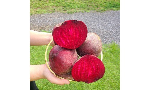 비트 진짜배기 마음에 쏙드는 상품 추천!추천해요!