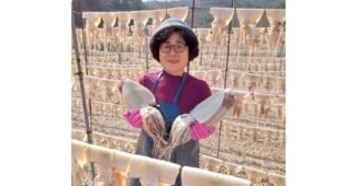 반건조오징어 지금이 최고의 타이밍! 비교 베스트9