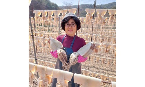 반건조오징어 지금이 최고의 타이밍! 비교 베스트9
