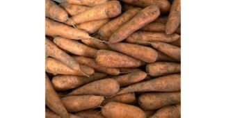 구좌당근 알뜰쇼핑족 주목! 신뢰가 쌓이는 베스트9