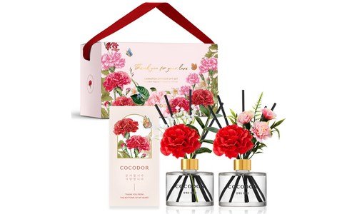 나트랑달랏패키지 추천 인플러언서들이 먼저 찾는 상품 구매노하우 공개