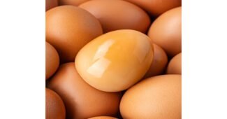 구운계란 성능 가성비&가심비 상품 찾기