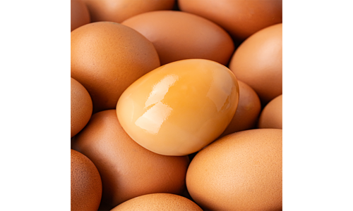 구운계란 성능 가성비&가심비 상품 찾기