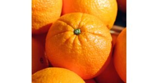 오렌지 공공연한 비밀! 필수보유득템 비교분석 베스트