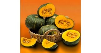 단호박 강력추천 인플러언서들이 먼저 찾는 상품 우쭈쭈! 우쭈쭈!