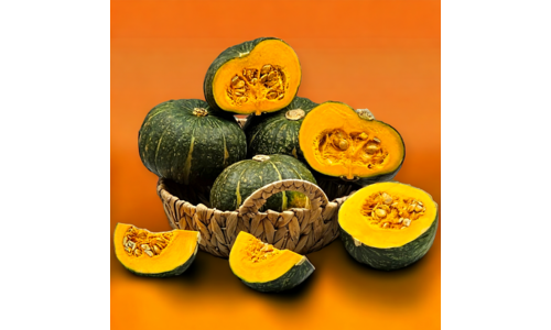 단호박 강력추천 인플러언서들이 먼저 찾는 상품 우쭈쭈! 우쭈쭈!